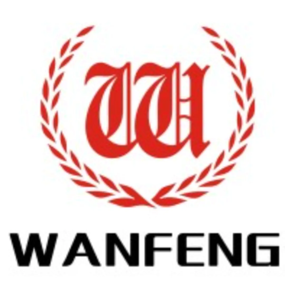 Hiring Partner 12 logo